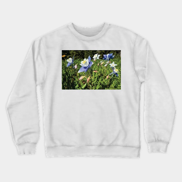 Close Up Of Wildflowers Crested Butte Crewneck Sweatshirt by HammiltenJohn